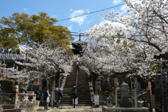 250403c金戒光明寺23