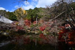 211202a醍醐寺31