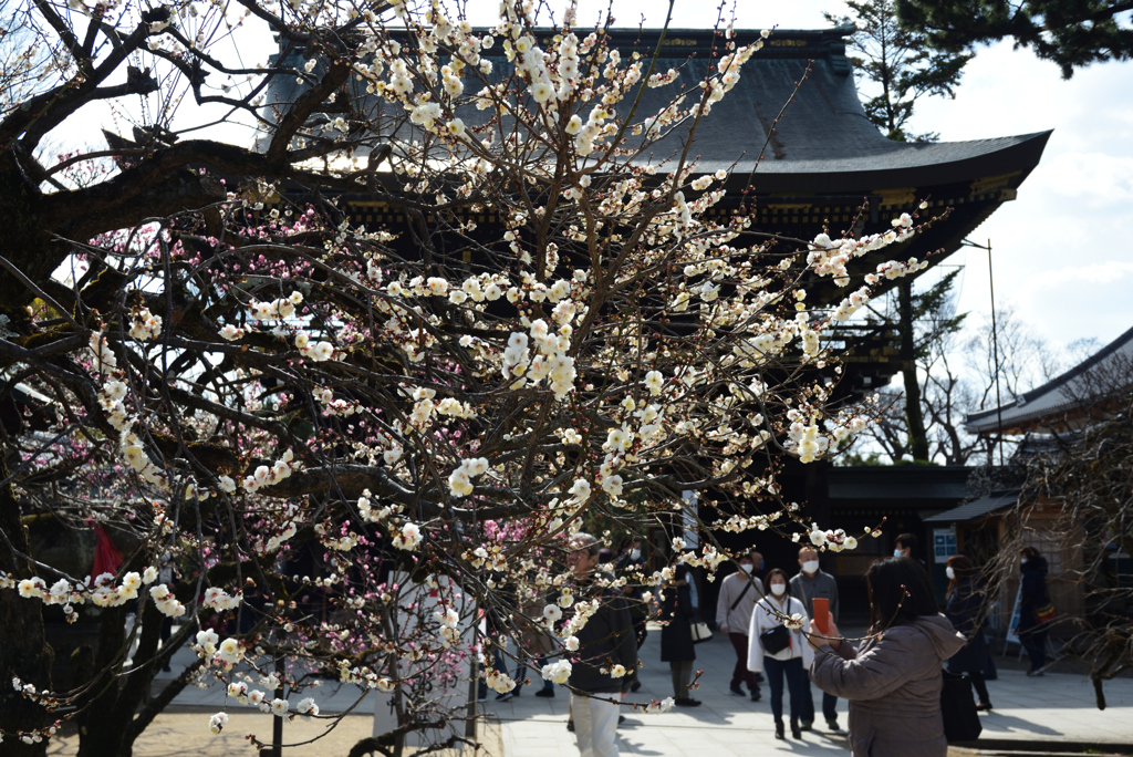 210211b北野天満宮58