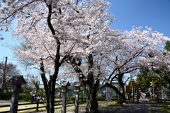180330a久世神社05+
