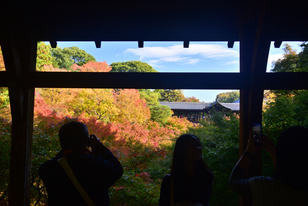 241121g東福寺06