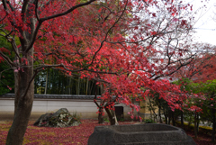 201213b相国寺08