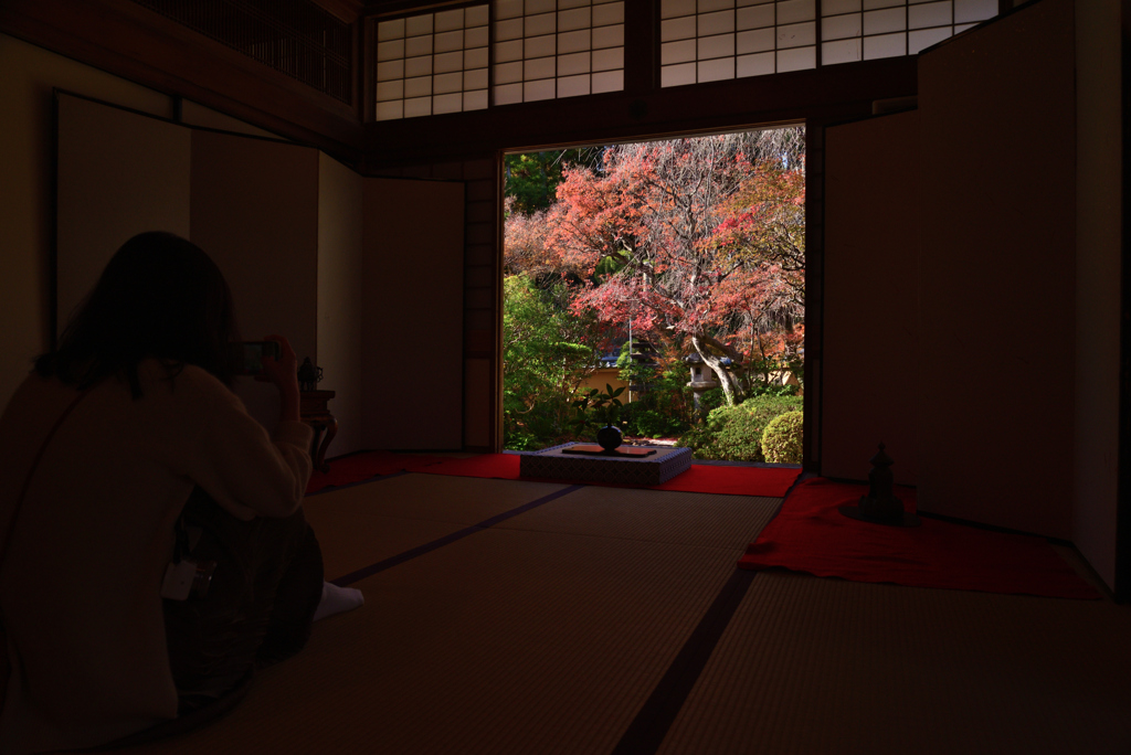 211203a光明寺28
