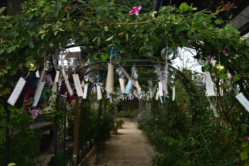 220921cおふさ観音23