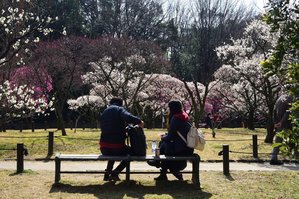 180302荒山公園58+