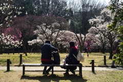 180302荒山公園58+