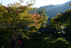 171027g天龍寺45
