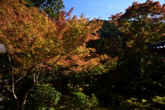 181103a西明寺23
