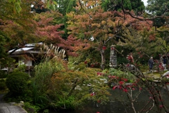 181101a白沙村荘08