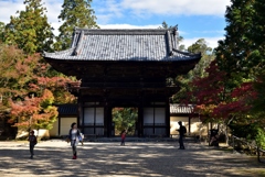 181103b神護寺72