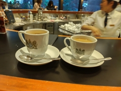 250906イノダ
