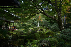 221104b三千院22