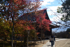 211111a仁和寺28