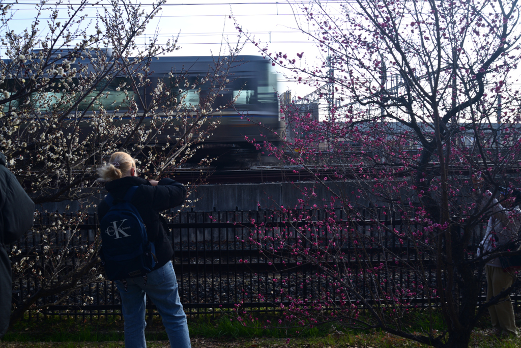 230209c梅小路公園25