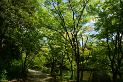 230801京都植物園24