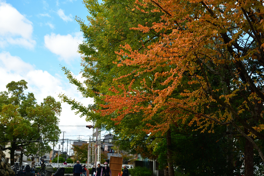 2501103産業まつり08