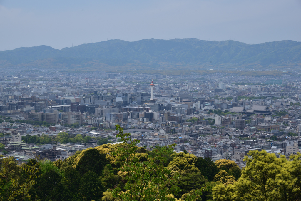 190505b東山山頂42