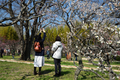 190302a万博公園26