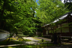 190617a石山寺29