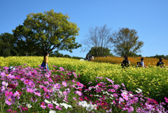 201025万博公園45
