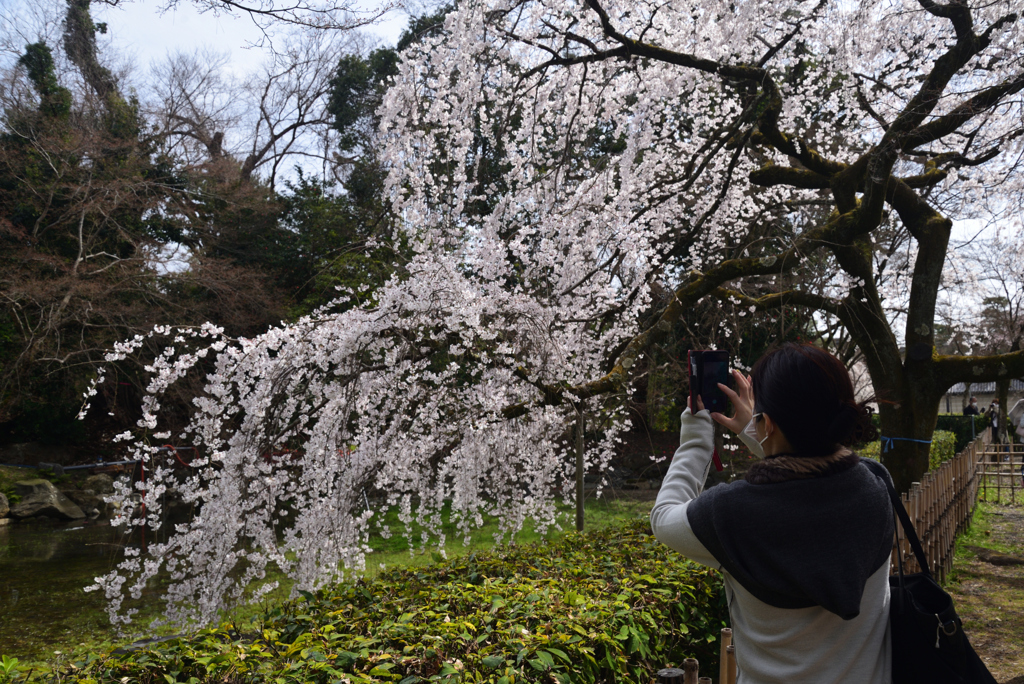 210317b京都御苑48