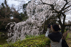 210317b京都御苑48