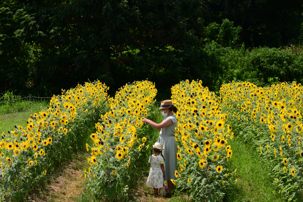 210808馬見丘陵公園52