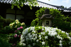 230421c石光寺09