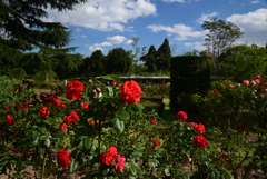 211022京都植物園11