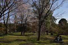 200321京都植物園59