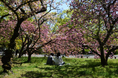 210410b京都御苑15