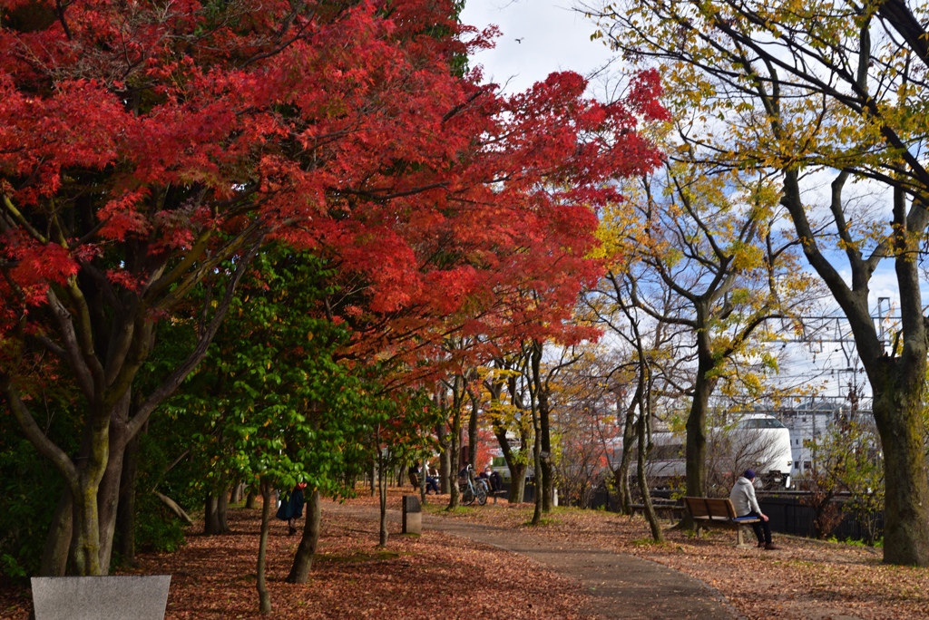 221124c梅小路公園19