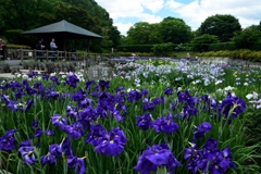 180613馬見丘陵09+