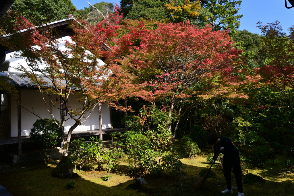 231102c西明寺19