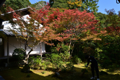 231102c西明寺19