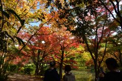 251114a京都植物園32