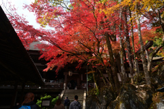 231123a石山寺22