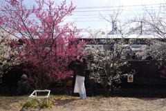 250307d梅小路公園32