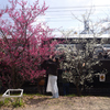 250307d梅小路公園32