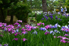 250607水月公園23