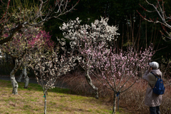 240210a山田池公園08
