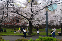 240405c大川53