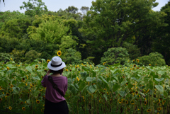 190818長居植物園23