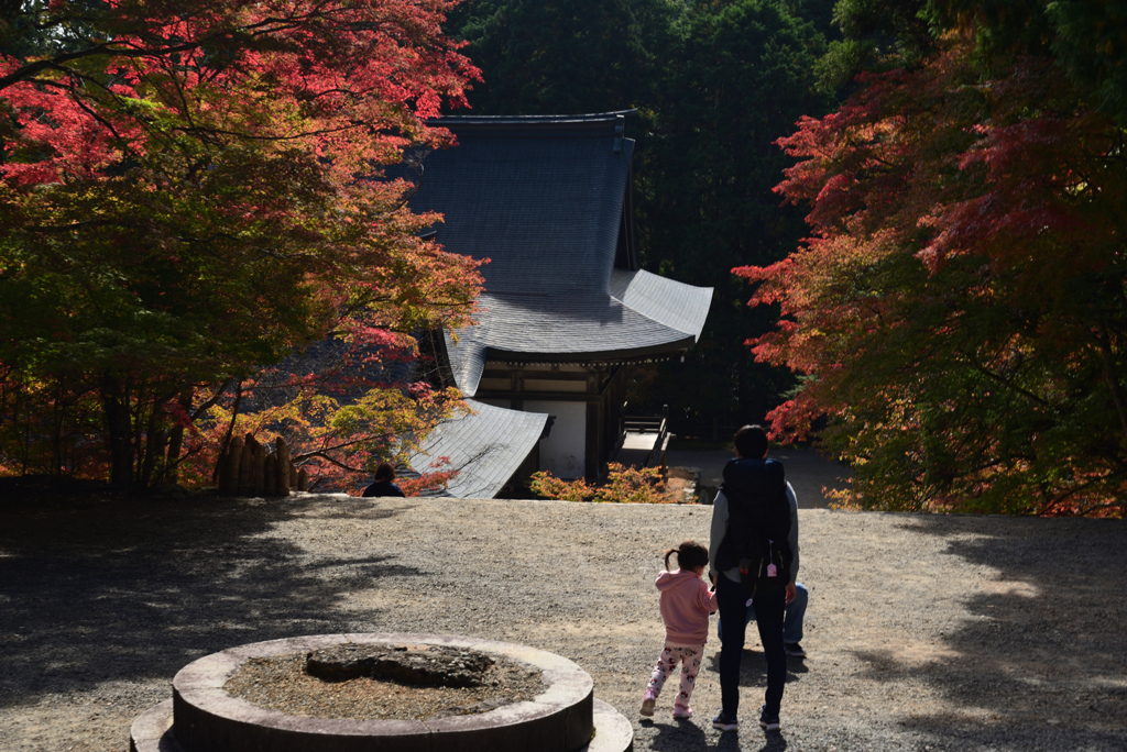 211106b神護寺25