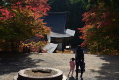 211106b神護寺25