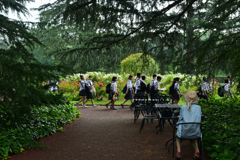 250708京都植物園03