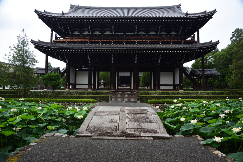 190713a東福寺15