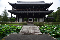190713a東福寺15
