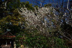 230221d京都御苑03