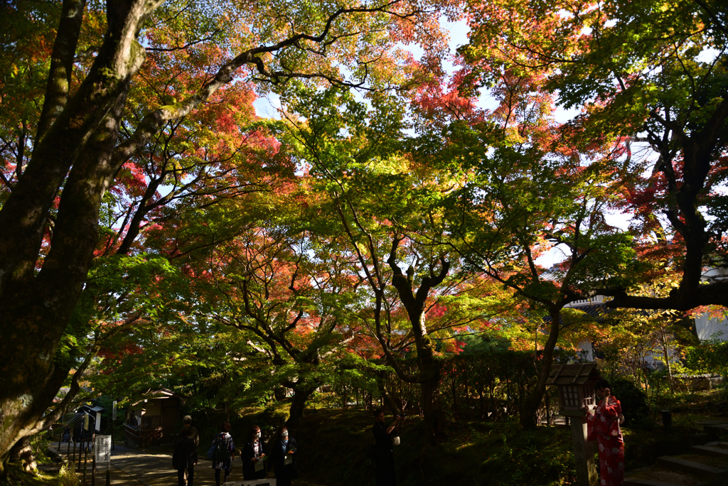 221111c常寂光寺36